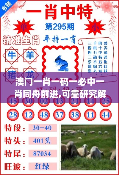 澳門一肖一碼一必中一肖同舟前進(jìn),可靠研究解釋定義_定制版5.125