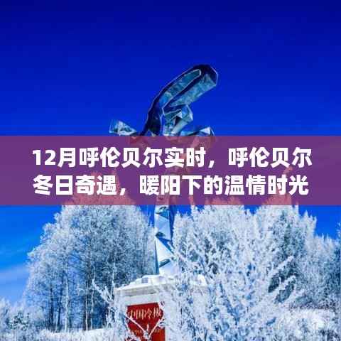 呼倫貝爾冬季奇遇，暖陽下的溫情時(shí)光紀(jì)實(shí)