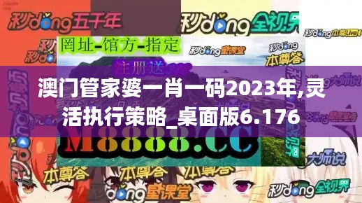 澳門管家婆一肖一碼2023年,靈活執(zhí)行策略_桌面版6.176