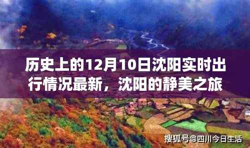 沈陽(yáng)歷史與現(xiàn)實(shí)交融的靜美之旅，探尋自然美景的心靈之旅（實(shí)時(shí)出行情況更新）