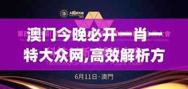 澳門今晚必開一肖一特大眾網(wǎng),高效解析方法_Z10.949