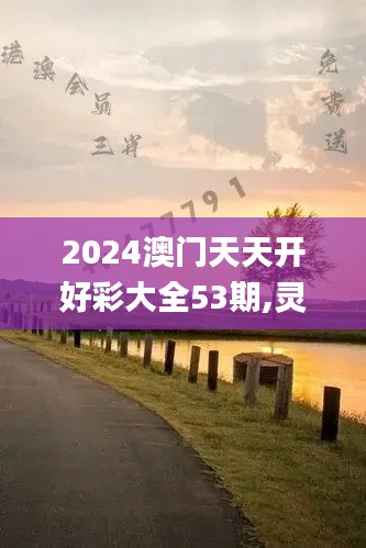 2024澳門天天開好彩大全53期,靈活解析方案_4DM12.408