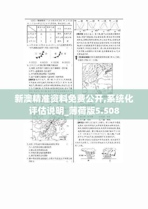 新澳精準資料免費公開,系統(tǒng)化評估說明_薄荷版5.508