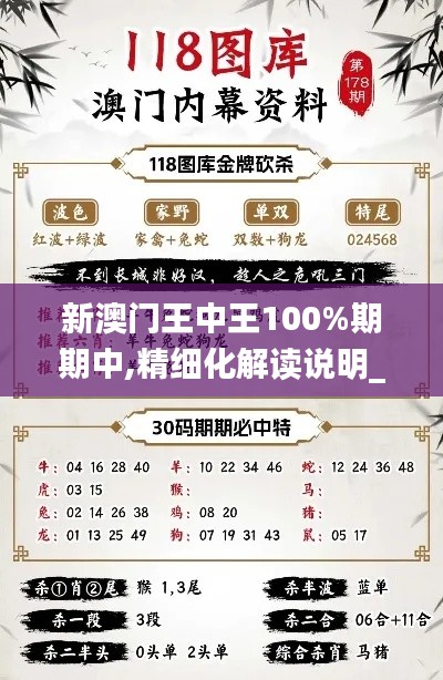 新澳門王中王100%期期中,精細(xì)化解讀說(shuō)明_戶外版9.666