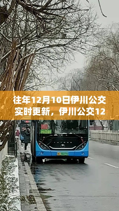 伊川公交實(shí)時(shí)更新回顧，時(shí)代的變遷與公交服務(wù)的進(jìn)步歷程（12月10日更新）
