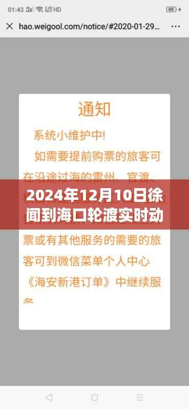 徐聞至海口輪渡溫情時(shí)光，跨海友情之旅實(shí)時(shí)動(dòng)態(tài)