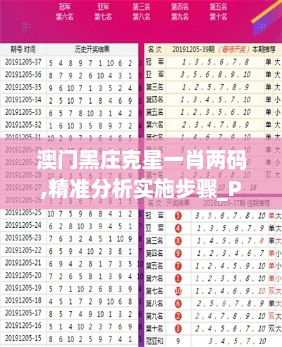 澳門(mén)黑莊克星一肖兩碼,精準(zhǔn)分析實(shí)施步驟_Pixel16.616