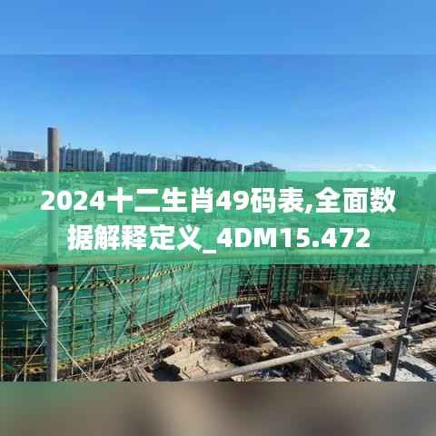 2024十二生肖49碼表,全面數(shù)據(jù)解釋定義_4DM15.472