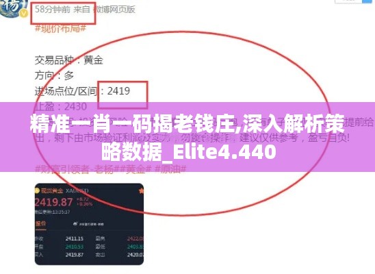 精準(zhǔn)一肖一碼揭老錢莊,深入解析策略數(shù)據(jù)_Elite4.440