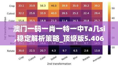 澳門一碼一肖一特一中Ta幾si,穩(wěn)定解析策略_頂級版5.406