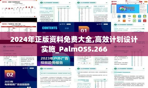 2024年正版資料免費大全,高效計劃設(shè)計實施_PalmOS5.266