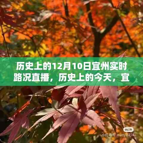 歷史上的今天與宜州實(shí)時(shí)路況直播回顧，領(lǐng)略不一樣的12月10日小紅書直播之旅