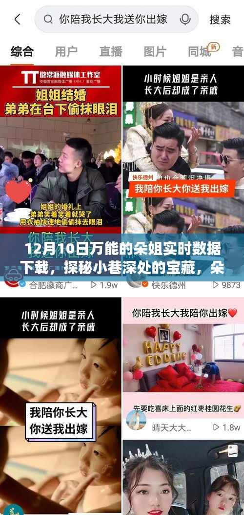 朵姐數(shù)據(jù)小鋪的奇妙之旅，探秘小巷深處的寶藏與實(shí)時(shí)數(shù)據(jù)下載