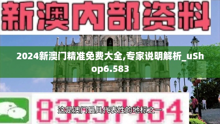 2024新澳門精準免費大全,專家說明解析_uShop6.583