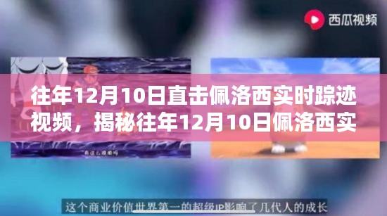 揭秘佩洛西往年12月10日實(shí)時(shí)蹤跡，獨(dú)家視頻深度追蹤報(bào)道揭秘真相