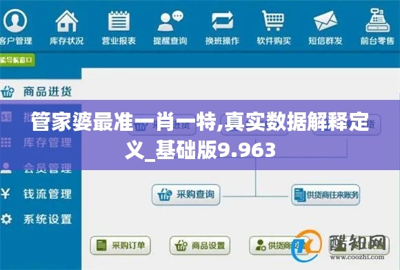 管家婆最準(zhǔn)一肖一特,真實數(shù)據(jù)解釋定義_基礎(chǔ)版9.963