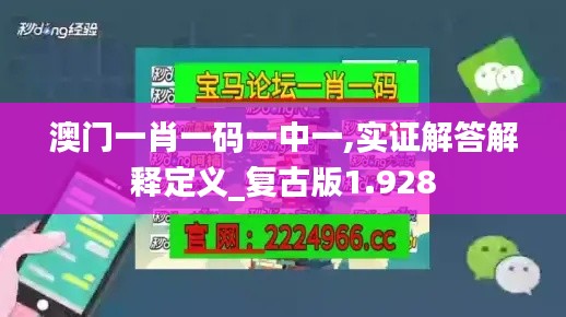 澳門一肖一碼一中一,實證解答解釋定義_復古版1.928