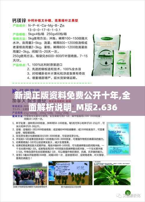 新澳正版資料免費公開十年,全面解析說明_M版2.636