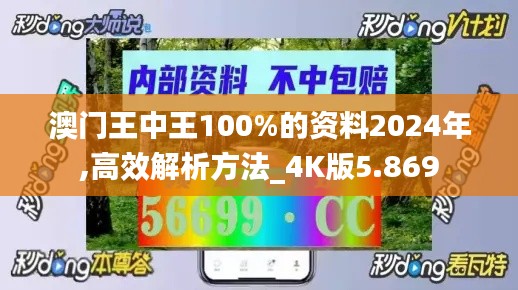 澳門王中王100%的資料2024年,高效解析方法_4K版5.869