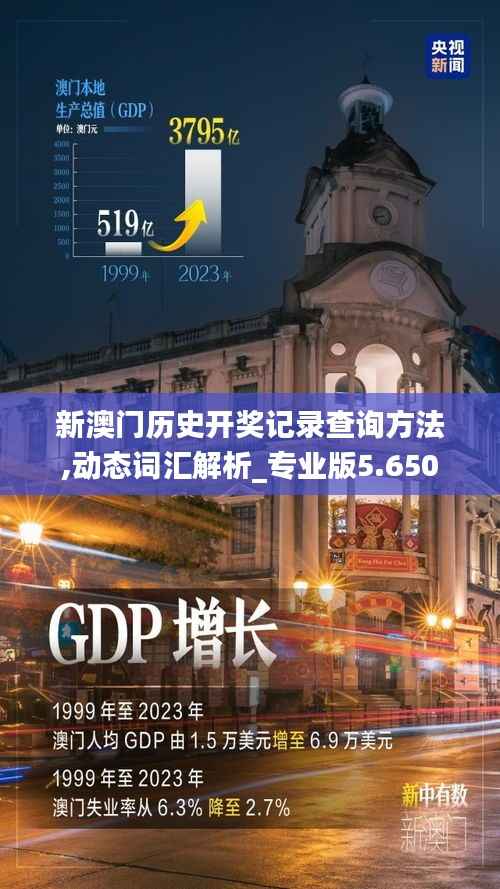 新澳門歷史開(kāi)獎(jiǎng)記錄查詢方法,動(dòng)態(tài)詞匯解析_專業(yè)版5.650