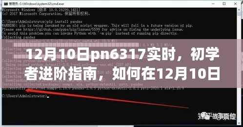 初學者進階指南，如何在12月10日利用pn6317完成實時任務攻略