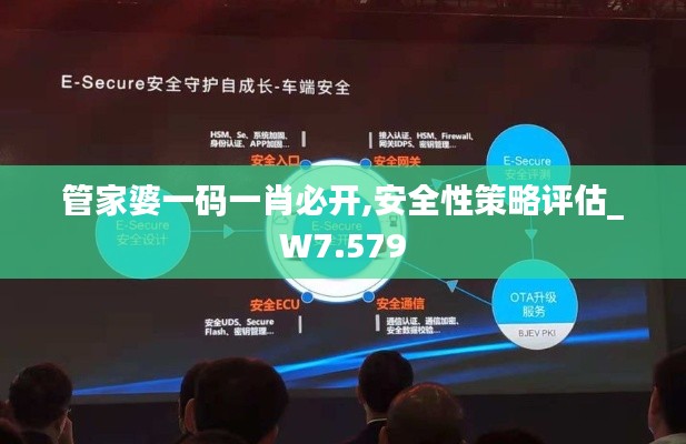 管家婆一碼一肖必開,安全性策略評估_W7.579