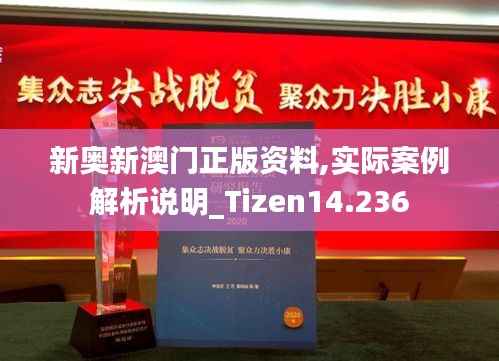 新奧新澳門正版資料,實(shí)際案例解析說明_Tizen14.236