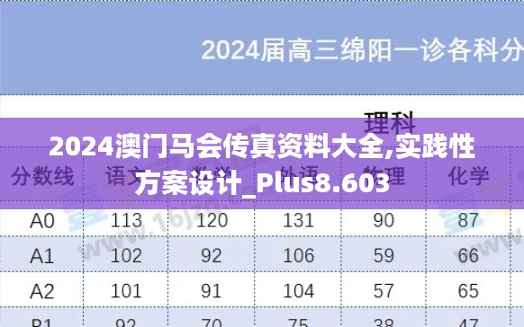 2024澳門馬會傳真資料大全,實踐性方案設計_Plus8.603