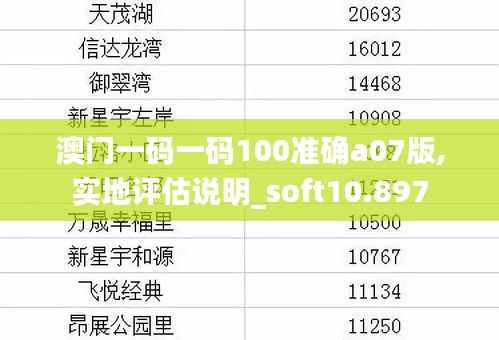 澳門一碼一碼100準(zhǔn)確a07版,實地評估說明_soft10.897