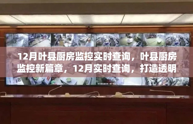葉縣廚房監(jiān)控新篇章，12月實(shí)時(shí)查詢，打造透明廚房監(jiān)管系統(tǒng)