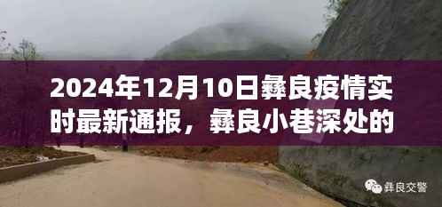 彝良疫情下的獨特美味，小巷深處的隱藏寶藏（實時最新通報）