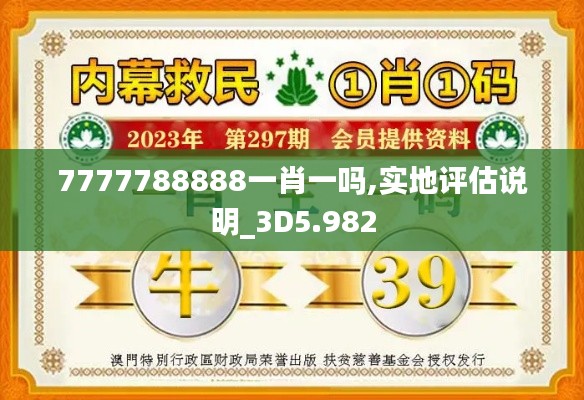 7777788888一肖一嗎,實(shí)地評(píng)估說明_3D5.982