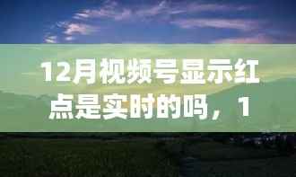 12月紅點探秘，實時追蹤自然美景，尋找內(nèi)心寧靜的旅程