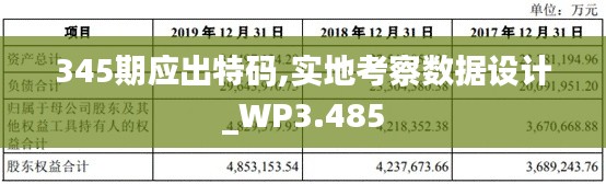 345期應(yīng)出特碼,實地考察數(shù)據(jù)設(shè)計_WP3.485