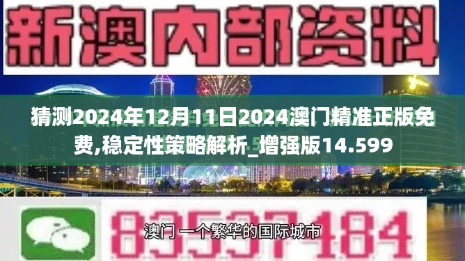 猜測2024年12月11日2024澳門精準正版免費,穩(wěn)定性策略解析_增強版14.599