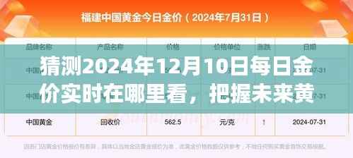 揭秘黃金市場趨勢，如何預測和把握未來金價動態(tài)，黃金市場探秘等你來體驗！