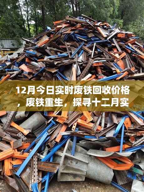 十二月廢鐵回收實時價格揭秘，廢鐵重生背后的故事與意義