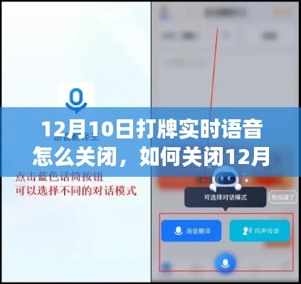 詳細(xì)步驟指南，如何關(guān)閉打牌實(shí)時(shí)語(yǔ)音功能（適用于12月10日操作）