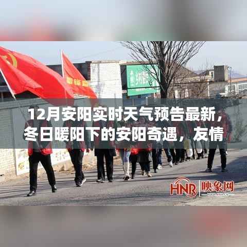 冬日暖陽(yáng)下的安陽(yáng)奇遇，實(shí)時(shí)天氣與情感交響