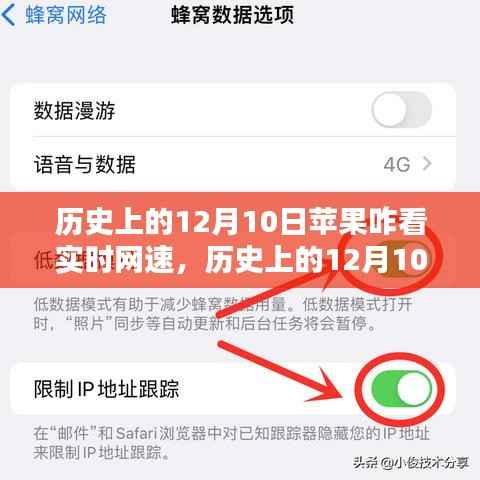 歷史上的12月10日，蘋果網(wǎng)速實時監(jiān)測軟件深度解析與評測