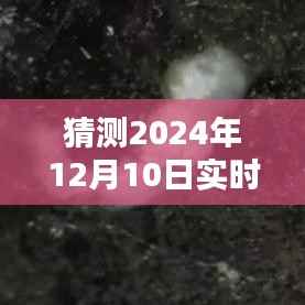 2024年隕石實(shí)時(shí)檢測(cè)軟件下載與操作指南，預(yù)測(cè)潛在隕石墜落