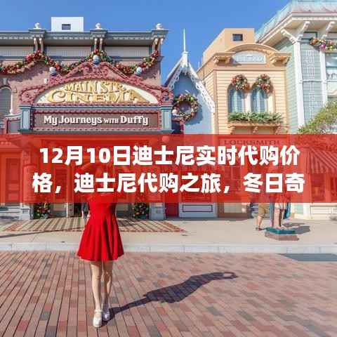 迪士尼代購之旅，冬日價(jià)格揭秘與奇遇記
