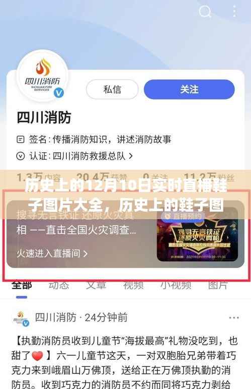 歷史上的鞋子圖片直播，12月10日的獨(dú)特視角與實(shí)時(shí)直播鞋子圖片大全