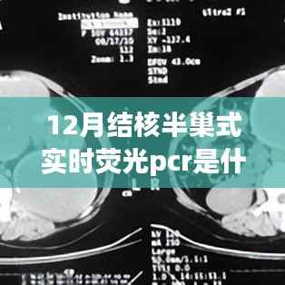 深度解析，12月結核半巢式實時熒光PCR的特性、應用及原理