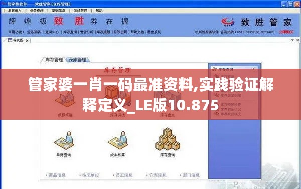管家婆一肖一碼最準(zhǔn)資料,實(shí)踐驗(yàn)證解釋定義_LE版10.875