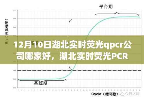 湖北實時熒光PCR公司深度解析，行業(yè)格局與個人觀點，探尋最佳PCR服務商于12月10日之時。