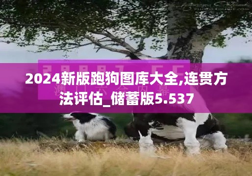 2024新版跑狗圖庫(kù)大全,連貫方法評(píng)估_儲(chǔ)蓄版5.537