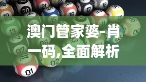澳門管家婆-肖一碼,全面解析說明_入門版9.686