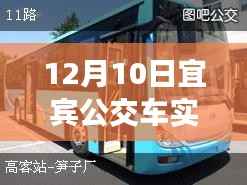 掌握宜賓公交動(dòng)態(tài)，宜賓公交車實(shí)時(shí)查詢攻略及最新動(dòng)態(tài)（宜賓公交查詢攻略）