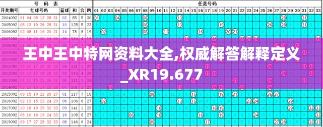 王中王中特網(wǎng)資料大全,權(quán)威解答解釋定義_XR19.677